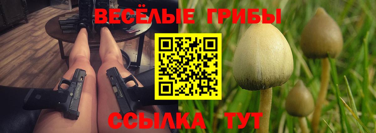 Галлюциногенные грибы GOLDEN TEACHER  Вход с VPN  Домодедово 
